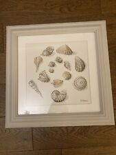 Laura ashley seashells for sale  HARTLEPOOL