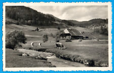 Schwarzwald 1935 schwarzwaldha gebraucht kaufen  Bad Schandau
