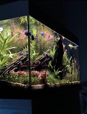 Schönes vollständiges aquari gebraucht kaufen  Heidelberg-Kirchheim