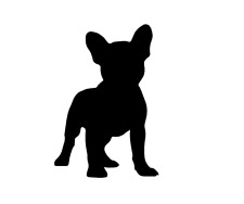 Aufkleber french bulldog gebraucht kaufen  Papenburg