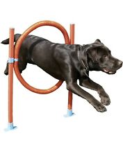 Dog agility training for sale  DUDLEY
