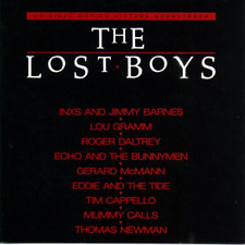 Lost boys for sale  ROSSENDALE