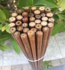 25pcs bamboo arrow for sale  USA
