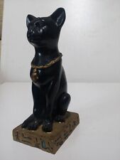 Egyptian black cat for sale  SHREWSBURY