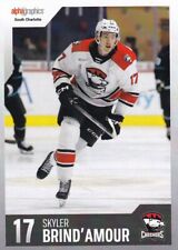 2023 charlotte checkers for sale  Cary