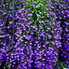 600 purple trailing for sale  Saint Augustine