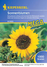 Kiepenkerl sonnenblumen gründ gebraucht kaufen  Viernheim