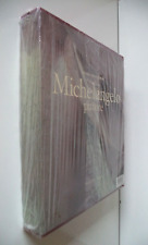 Michelangelo pittore luchinat usato  Castelfidardo