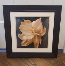 large art framed mauve floral for sale  Bridgeview
