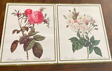 Rosa floral prints for sale  Reeds Spring