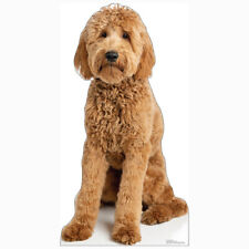Goldendoodle dog cardboard for sale  Layton