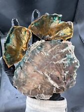 petrified wood slab for sale  Portland