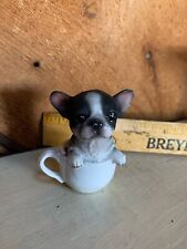 Small teacup frenchie for sale  Quakertown