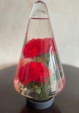 Blumenaquarium glas glasvase gebraucht kaufen  Diedorf