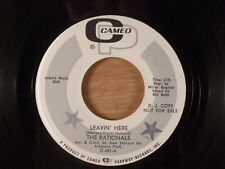 The Rationals Leavin' Here/Not Like It Is Promo Detroit Garage 1967 Cameo comprar usado  Enviando para Brazil