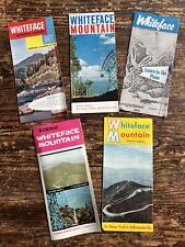 1960s whiteface mountain for sale  Cumming