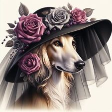 Saluki greyhound lurcher for sale  RICKMANSWORTH