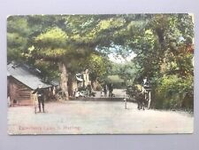 Cartão postal Hayling Island 'Tunerberry Lane' com moradores e carrinho de cavalo Havant comprar usado  Enviando para Brazil