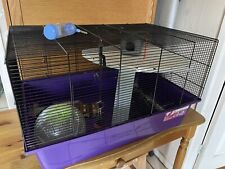 Pets home hamster for sale  BOLTON