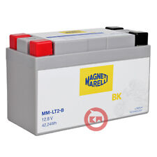 Batteria litio magneti usato  Italia