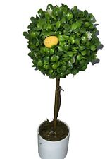 Potted ball topiary for sale  Marysville