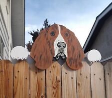 Basset hound dog for sale  Denver