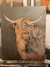 Highland cow bull for sale  MANCHESTER