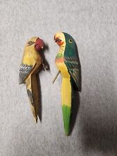parrots parrot bird birds for sale  Holiday