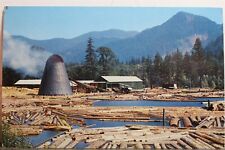 Scenic northwest sawmill for sale  Wilmington