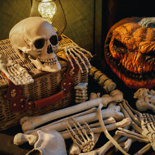 28pcs poseable skeleton for sale  UK