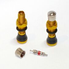 Tubeless schrader valve for sale  San Luis Obispo