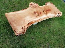 Pappel maser massivholzbohle gebraucht kaufen  Wuppertal