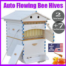 Auto flow bee for sale  USA