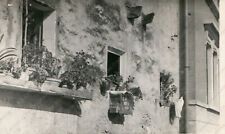 1955 belluno borgo usato  Cremona