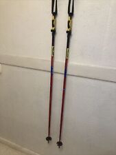 Salmon ski poles for sale  Challis
