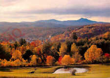 Picture postcard vermont for sale  NEWCASTLE UPON TYNE