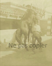 Horses circa 1900 d'occasion  Expédié en Belgium