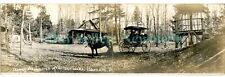 Used, Barnard Vermont VT - 11" PANO HORSE DRAWN CARRIAGE SILVER LAKE - RPPC Postcard for sale  Shipping to South Africa