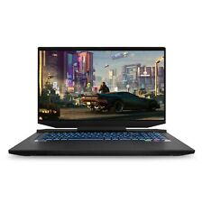 Gaming laptop 5900hx gebraucht kaufen  Schmira,-Bischleben,-Rhoda