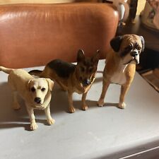 Leonardo dogs boxer for sale  MINEHEAD