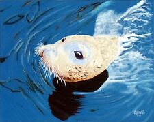 Sea sea lion for sale  Crescent City