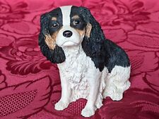 Dogs galore cavalier for sale  STOKE-ON-TRENT