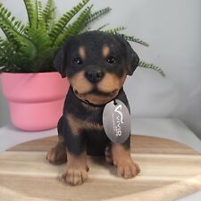 Discounted box rottweiler for sale  COLERAINE