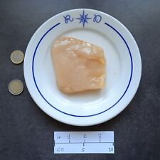 Kombucha scoby starter d'occasion  Toulouse-