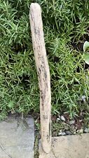 Long driftwood branch for sale  BRAINTREE