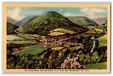 Cartão postal c1940 Susquehanna Trail Route Trout Run Field Williamsport Pensilvânia comprar usado  Enviando para Brazil
