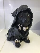Canine cloaked grim for sale  DONCASTER