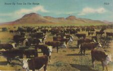 hereford cattle for sale  Oak Island
