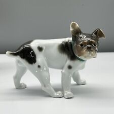 Fine french bulldog for sale  Chicago