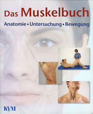 anatomie muskeln gebraucht kaufen  Roßdorf